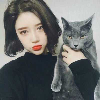宫川一朗太（饰 桂小五郎） - 猪蜜蜜电视剧大全在线观看11 - 电脑看视频